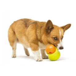 Zogoflex Toppl - Treat Toy -Katten Honden Benodigdheden Winkel 0cJe9jR88p4kg2k2eS0t6102tBKRW4 metaVG9wcGwtaG9uZC16bC5qcGc