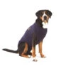 Medical Pet Shirt Hond 1 Medical Pet Shirt Hond -Katten Honden Benodigdheden Winkel 168712b464eacd32ef0ae49d7af9c1d4c302bc0d207cb92f9bac4818409a23e8 5