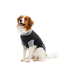 Buster Bodysuit EasyGo -Katten Honden Benodigdheden Winkel 20dd85e5d3fd15c956254b02455945030523a2722118be9ca5b0f38da781e766 3