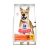 Hill's Science Plan - Adult - Performance -Katten Honden Benodigdheden Winkel 23dd117d9a1083df9e6dee28b51e6d4c75b8b8b52b55f1d1bb1470fa1772f67e 3