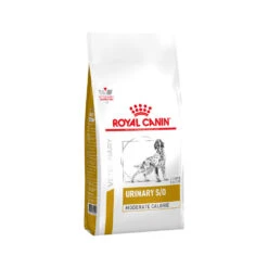 Royal Canin Urinary S/O Moderate Calorie Hond -Katten Honden Benodigdheden Winkel 29d2c231e8f81732cd09c625f2098f06a0146a4d6585fd3c4ce9e5aa80252440 5