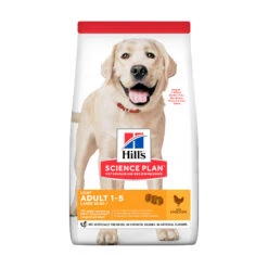 Hill's Science Plan Light - Large Adult Dog -Katten Honden Benodigdheden Winkel 2e7eac98cce61c1719fe208d09934b13868443da08a1feeb484182b7cb81b099 4