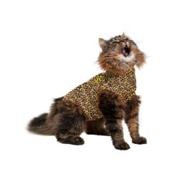 Medical Pet Shirt Kat Luipaard Print 13 Medical Pet Shirt Kat Luipaard Print -Katten Honden Benodigdheden Winkel 399f40221187c4143940b56bf55175115a4cb4872acc40fedd18eb39078d4739 3