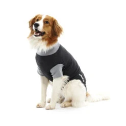 Buster Bodysuit -Katten Honden Benodigdheden Winkel 3a8baf132f9a6c65338181e8ae52e7c89e54b4d182ad33c757396b56eb117ce5 3