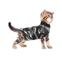 Suitical Recovery Suit Kat -Katten Honden Benodigdheden Winkel 4brstZ2n66K4r0vFEcyaerpO0eEwLw metacHJvZHVjdF9yZWNvdmVyeV9zdWl0X2thdF9tZWRwZXRzXzRfMTQxNDU3NDc3Nl85MDcxLmpwZw