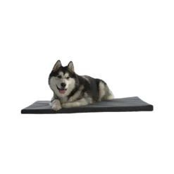 51 Degrees North Orthopedisch Storm Matras -Katten Honden Benodigdheden Winkel 51 degrees north orthopedisch storm matras 209123 1000 none