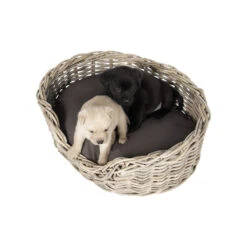 51 Degrees North Rattan Basket -Katten Honden Benodigdheden Winkel 51 degrees north rattan basket 209954 1000 none