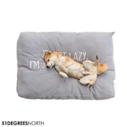 51 Degrees North Sweater Boxpillow -Katten Honden Benodigdheden Winkel 51 degrees north sweater boxpillow 209240 1000 none