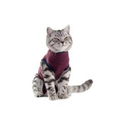 Jacketz Medical Body Suit Kat -Katten Honden Benodigdheden Winkel 6e4eb6fa5e40b42c85b45edf864ab5099f45dd46ed58c1f91180d50ce931678a 4