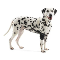 Kruuse Rehab Elleboogbeschermer -Katten Honden Benodigdheden Winkel 707a1307f57d4b5032cf99e3784b03141ed01b9c9317fa83ee1f29943ae9e06b 4