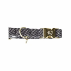 Kentucky Dogwear Hondenhalsband Wool -Katten Honden Benodigdheden Winkel 7HPniQEMM0Q624Ns0YIbFMDAg5WykC metaS2VudHVja3ktRG9nd2Vhci1Ib25kZW5oYWxzYmFuZC1Xb29sLWdyaWpzLWRldGFpbC0xLnBuZw