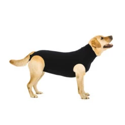 Suitical Recovery Suit Hond - Zwart 22 Suitical Recovery Suit Hond - Zwart -Katten Honden Benodigdheden Winkel 7c9e38e38becaf51a464c162f0f2b270c8651ab39aa58cbcc00ab3261af8fa97 3