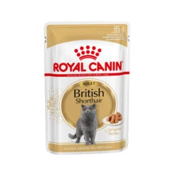 Royal Canin British Shorthair Adult Wet - Kattenvoer -Katten Honden Benodigdheden Winkel 7eddeaa797f089020d810a85360375f884680e6df17318052cca9ac7c7cb3b00 3 5
