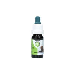Excellent HempOne Hond En Kat -Katten Honden Benodigdheden Winkel 8c48708c2fa86d5401958ddfe107c50aa7f6d03024de90cfaf796de9f6a32a84 4