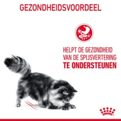 Royal Canin Digestive Care In Gravy - Kattenvoer 20 Royal Canin Digestive Care In Gravy - Kattenvoer -Katten Honden Benodigdheden Winkel ArELC5MRoxiyJSCYOslvuIRNg5AVhp metaUm95YWwtQ2FuaW4tRGlnZXN0aXZlLUNhcmVfMDEuanBn