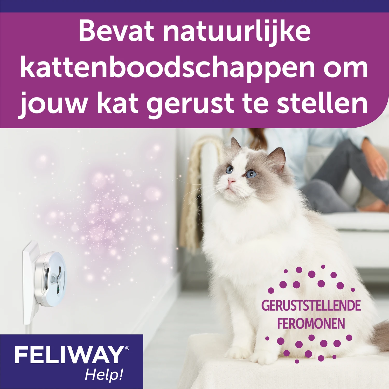 Feliway Help! 9 Feliway Help! - Afbeelding 7