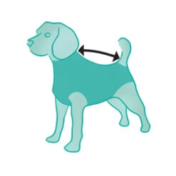 Suitical Recovery Suit Hond - Camouflage 19 Suitical Recovery Suit Hond - Camouflage -Katten Honden Benodigdheden Winkel ILtF02kyXAnbRr88QvQ12b6rufTPVq metacHJvZHVjdF9yZWNvdmVyeV9zdWl0X2hvbmRfbWVkcGV0c180XzE0MTQ1NjgzNTZfOTA2OS5qcGc