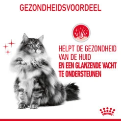Royal Canin Hair & Skin In Gravy - Kattenvoer 22 Royal Canin Hair & Skin In Gravy - Kattenvoer -Katten Honden Benodigdheden Winkel MnRGVtu8Y4Y8CuEu4Mdn5Rb9cOFGPr metaUm95YWwtQ2FuaW4tSGFpci0mLVNraW4taW4tR3JhdnlfMDQuanBn