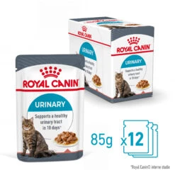 Royal Canin Urinary Care In Gravy - Kattenvoer -Katten Honden Benodigdheden Winkel NfyfH1PE1p7rKVGM2fVbcOzDsVu4Qz metaUm95YWwtQ2FuaW4tVXJpbmFyeS1DYXJlLWluLUdyYXZ5XzAxLmpwZw