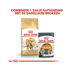 Royal Canin Adult Bengal - Kattenvoer 19 Royal Canin Adult Bengal - Kattenvoer -Katten Honden Benodigdheden Winkel Oiz9fo8Gi5bXWcBJ87R2OVk8KskfZH metaUm95YWwtQ2FuaW4tQWR1bHQtQmVuZ2FsXzAxLmpwZw