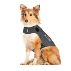 Thundershirt Hond 11 Thundershirt Hond -Katten Honden Benodigdheden Winkel RM4aKjWpKSrS2PZqqxugnou7ShRMkF metadGh1bmRlcnNoaXJ0X2hvbmRfMjE1OTQyXzA1MDBfbm9uZS5qcGc
