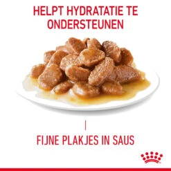 Royal Canin Urinary Care In Gravy - Kattenvoer -Katten Honden Benodigdheden Winkel Sc4nGKJYWCibTFNzpquL4HRHWqVv9Q metaUm95YWwtQ2FuaW4tVXJpbmFyeS1DYXJlLWluLUdyYXZ5XzAyLmpwZw