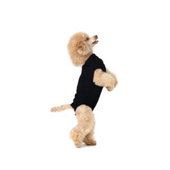 Suitical Recovery Suit Hond - Zwart 18 Suitical Recovery Suit Hond - Zwart -Katten Honden Benodigdheden Winkel a5ec9cee55eca7d6161e8de362a53502d6ec29f4fe880ca8c562cdcee7a800dd 3