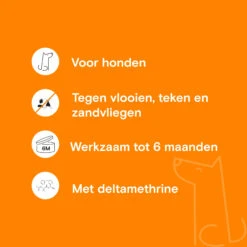 Adimere - Vlooienband 11 Adimere - Vlooienband -Katten Honden Benodigdheden Winkel adimere vlooienband 211586 2000 none