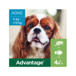 Advantage Hond -Katten Honden Benodigdheden Winkel advantage hond 180883 0500 none