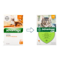 Advantage Kat -Katten Honden Benodigdheden Winkel advantage kat 104098 0500 none