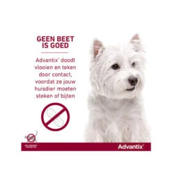 Advantix -Katten Honden Benodigdheden Winkel advantix 174187 0500 none