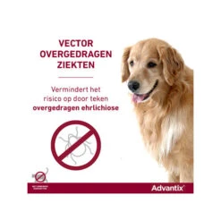Advantix -Katten Honden Benodigdheden Winkel advantix 174193 0500 none