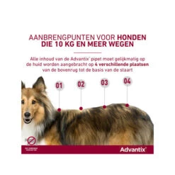 Advantix -Katten Honden Benodigdheden Winkel advantix 174199 0500 none
