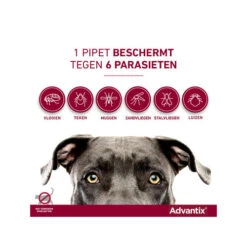 Advantix -Katten Honden Benodigdheden Winkel advantix 174205 0500 none
