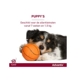 Advantix -Katten Honden Benodigdheden Winkel advantix 174208 0500 none