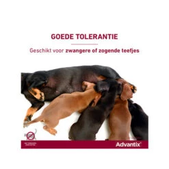 Advantix -Katten Honden Benodigdheden Winkel advantix 174214 0500 none