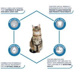 Affinity Advance Adult Kip En Rijst - Kat -Katten Honden Benodigdheden Winkel affinity advance adult kip en rijst kat 178249 1500 none