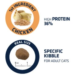 Affinity Advance Adult Kip En Rijst - Kat -Katten Honden Benodigdheden Winkel affinity advance adult kip en rijst kat 178252 1500 none