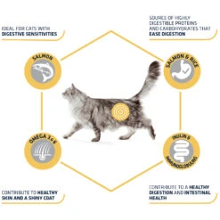 Affinity Advance Adult Salmon Sensitive - Kat 12 Affinity Advance Adult Salmon Sensitive - Kat -Katten Honden Benodigdheden Winkel affinity advance adult salmon sensitive kat 178666 1500 none