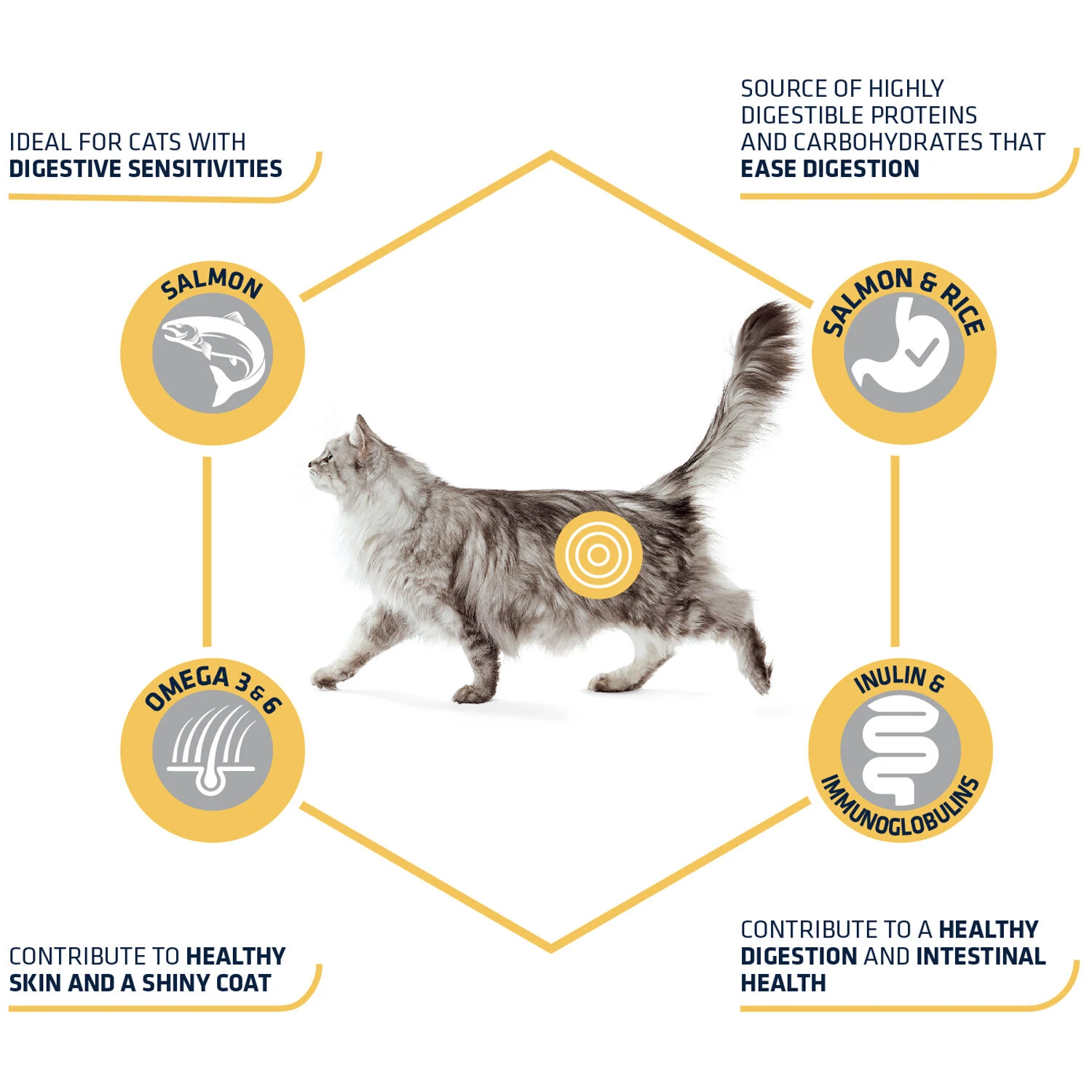 Affinity Advance Adult Salmon Sensitive - Kat 6 Affinity Advance Adult Salmon Sensitive - Kat - Afbeelding 4
