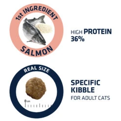 Affinity Advance Adult Salmon Sensitive - Kat 13 Affinity Advance Adult Salmon Sensitive - Kat -Katten Honden Benodigdheden Winkel affinity advance adult salmon sensitive kat 178669 1500 none