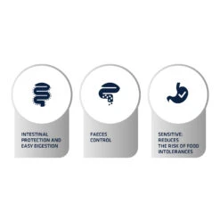 Affinity Advance Veterinary Diets Gastroenteric Sensitive Kat 12 Affinity Advance Veterinary Diets Gastroenteric Sensitive Kat -Katten Honden Benodigdheden Winkel affinity advance veterinary diets gastroenteric sensitive kat 178048 1500 none