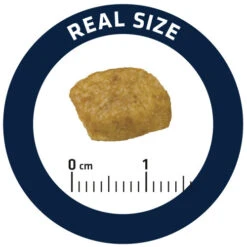 Affinity Advance Veterinary Diets Renal Kat -Katten Honden Benodigdheden Winkel affinity advance veterinary diets renal kat 176890 0500 none