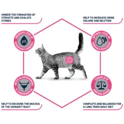 Affinity Advance Veterinary Diets Urinary Kat -Katten Honden Benodigdheden Winkel affinity advance veterinary diets urinary kat 176905 1500 none