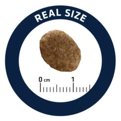 Affinity Advance Veterinary Diets Urinary Kat -Katten Honden Benodigdheden Winkel affinity advance veterinary diets urinary kat 176911 0500 none