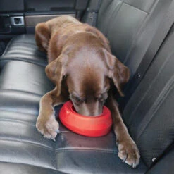 Kurgo Splash Free Wander Water Bowl -Katten Honden Benodigdheden Winkel altranet splash free wander water bowl 222778 0500 none