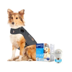 Anti Stress Pakket Thundershirt En Adaptil -Katten Honden Benodigdheden Winkel anti stress pakket thundershirt en adaptil 216438 1500 none