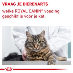 Royal Canin VCN - Mature Consult Balance - Cat - Maaltijdzakje -Katten Honden Benodigdheden Winkel auqYuMrpG2AEQj9IgtKtDMGtV3YXT4 metaTUFUVVJFLUNPTlNVTFQtQkFMQU5DRS04LmpwZw
