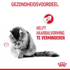 Royal Canin Hairball Care In Gravy - Kattenvoer -Katten Honden Benodigdheden Winkel b5BGZndEVRARBU6xTTXdGdZB9ZfBvZ metaUm95YWwtQ2FuaW4tSGFpcmJhbGwtQ2FyZS1pbi1HcmF2eV8wMi5qcGc