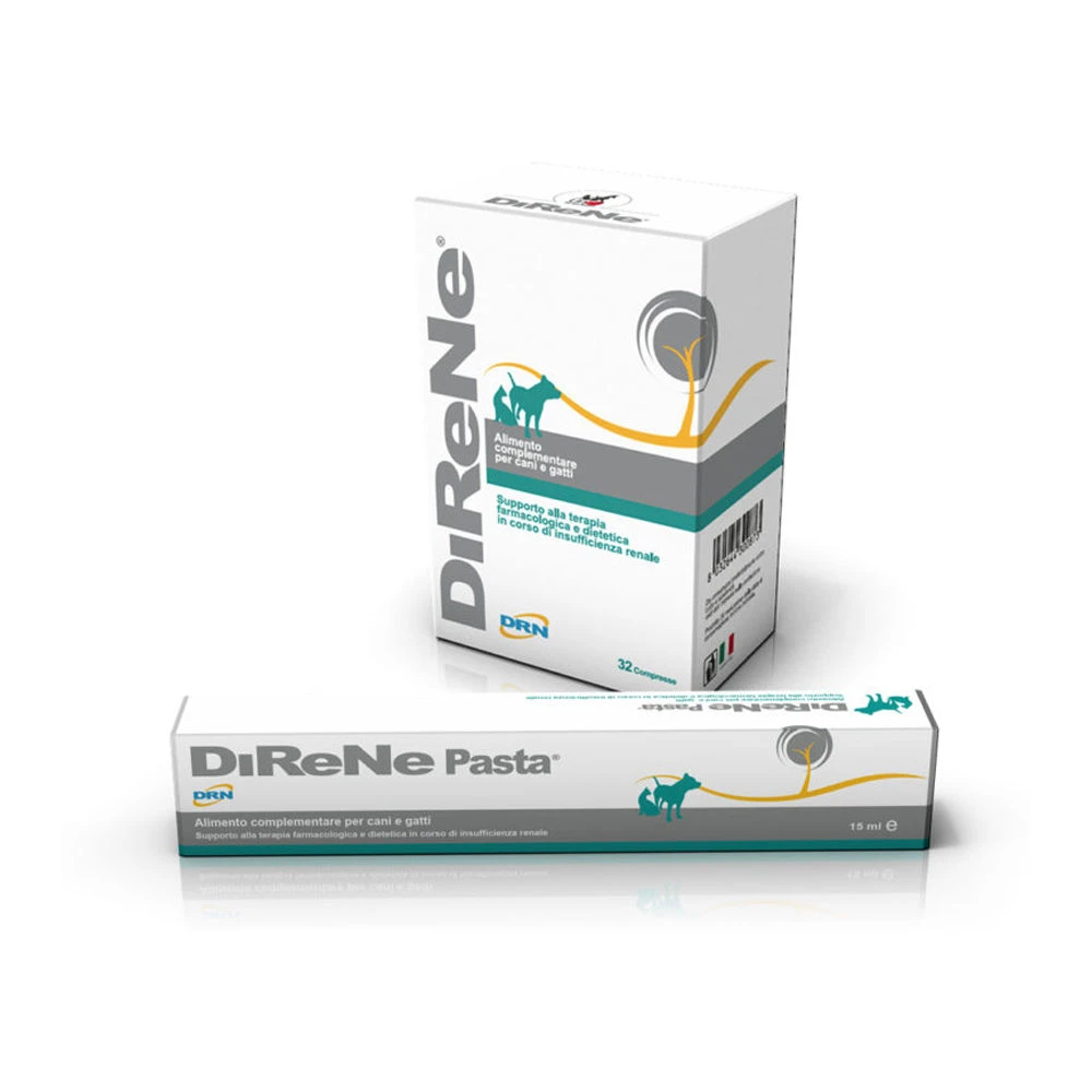 DRN DiReNe - Pasta 4 DRN DiReNe - Pasta - Afbeelding 2
